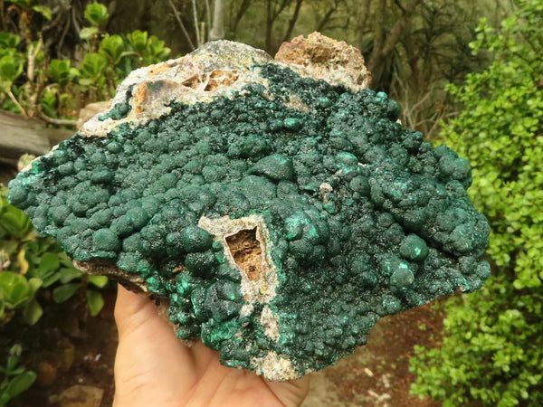 Natural Large Rare Ball Malachite On Drusi Quartz & Dolomite Matrix  x 1 From Kambove, Congo
