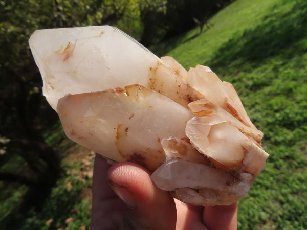 Natural Selected Intact Quartz Clusters x 4 From Madagascar - TopRock