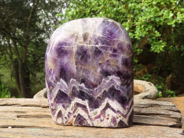 Polished Large Dream Amethyst Standing Free Form x 1 From Madagascar - Toprock Gemstones and Minerals 