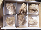 Natural Smokey Quartz Clusters x 6 From Congo - Toprock Gemstones and Minerals 