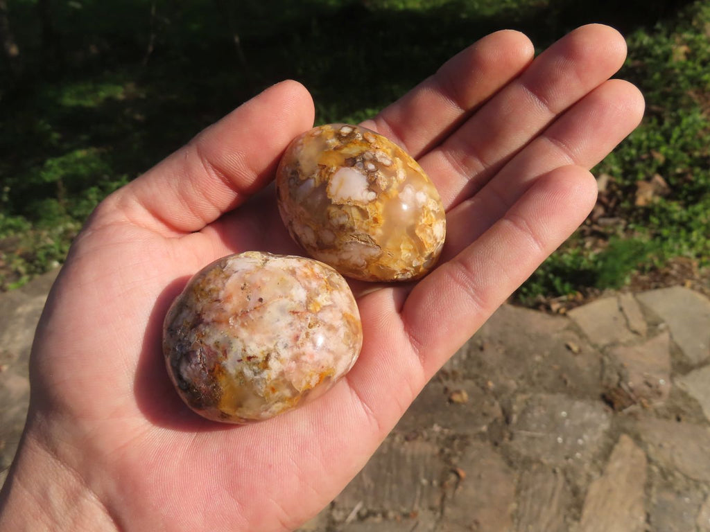 Polished Stunning Coral Flower Agate Gallets x 24 From Madagascar - TopRock
