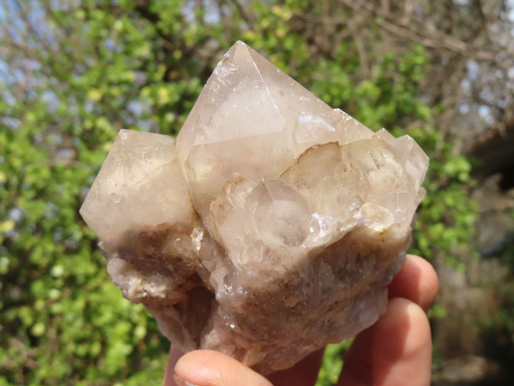 Natural Smokey Quartz Clusters x 6 From Congo - Toprock Gemstones and Minerals 