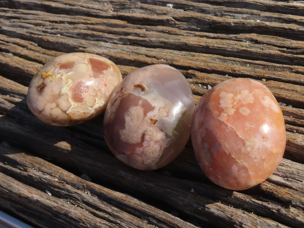 Polished Stunning Coral Flower Agate Gallets x 24 From Madagascar - TopRock