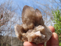 Natural Smokey Quartz Clusters x 6 From Congo - Toprock Gemstones and Minerals 