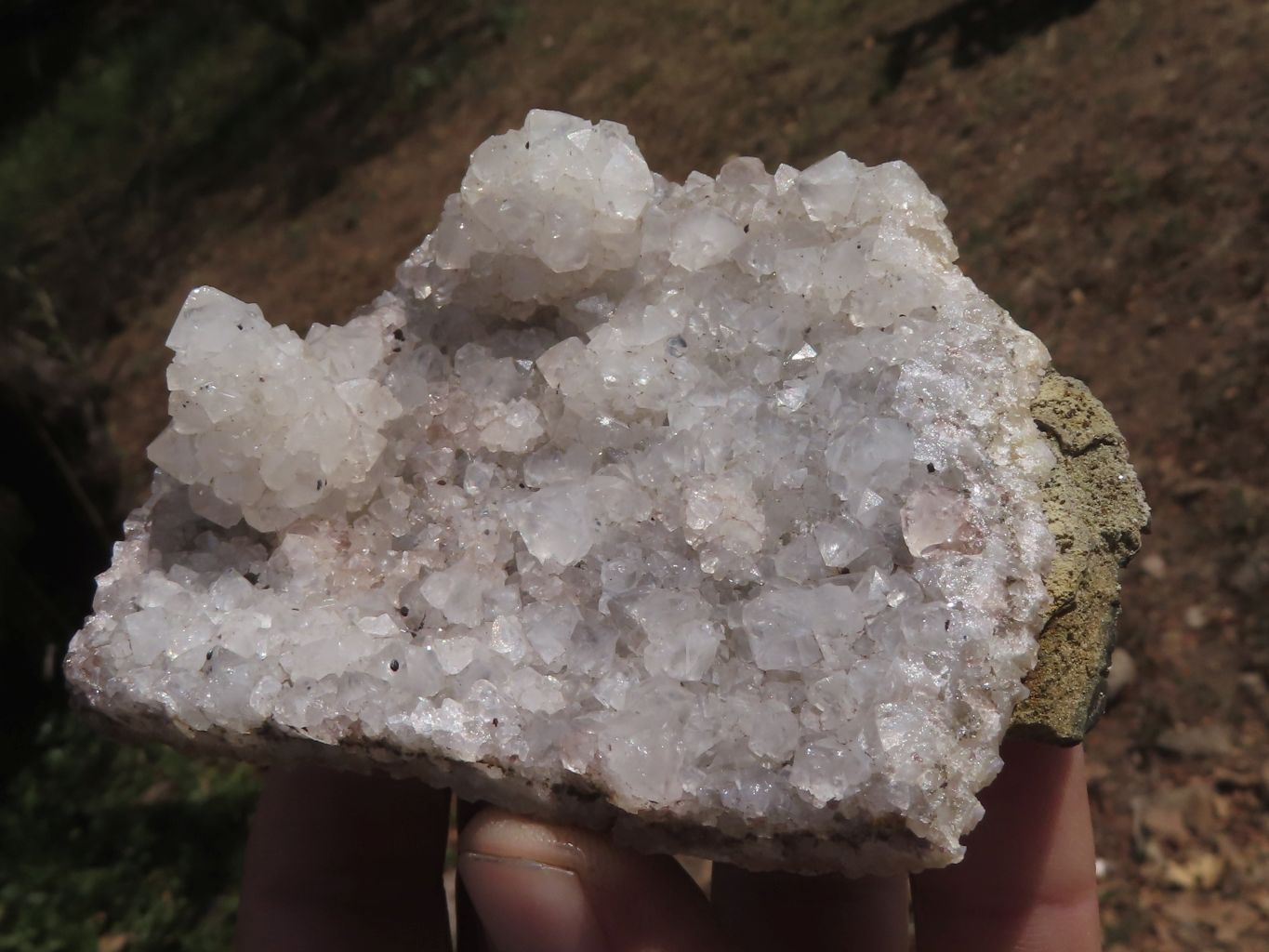 Natural Rare Hollow "Snow" Quartz Clusters  x 12 From Alberts Mountain, Lesotho - TopRock