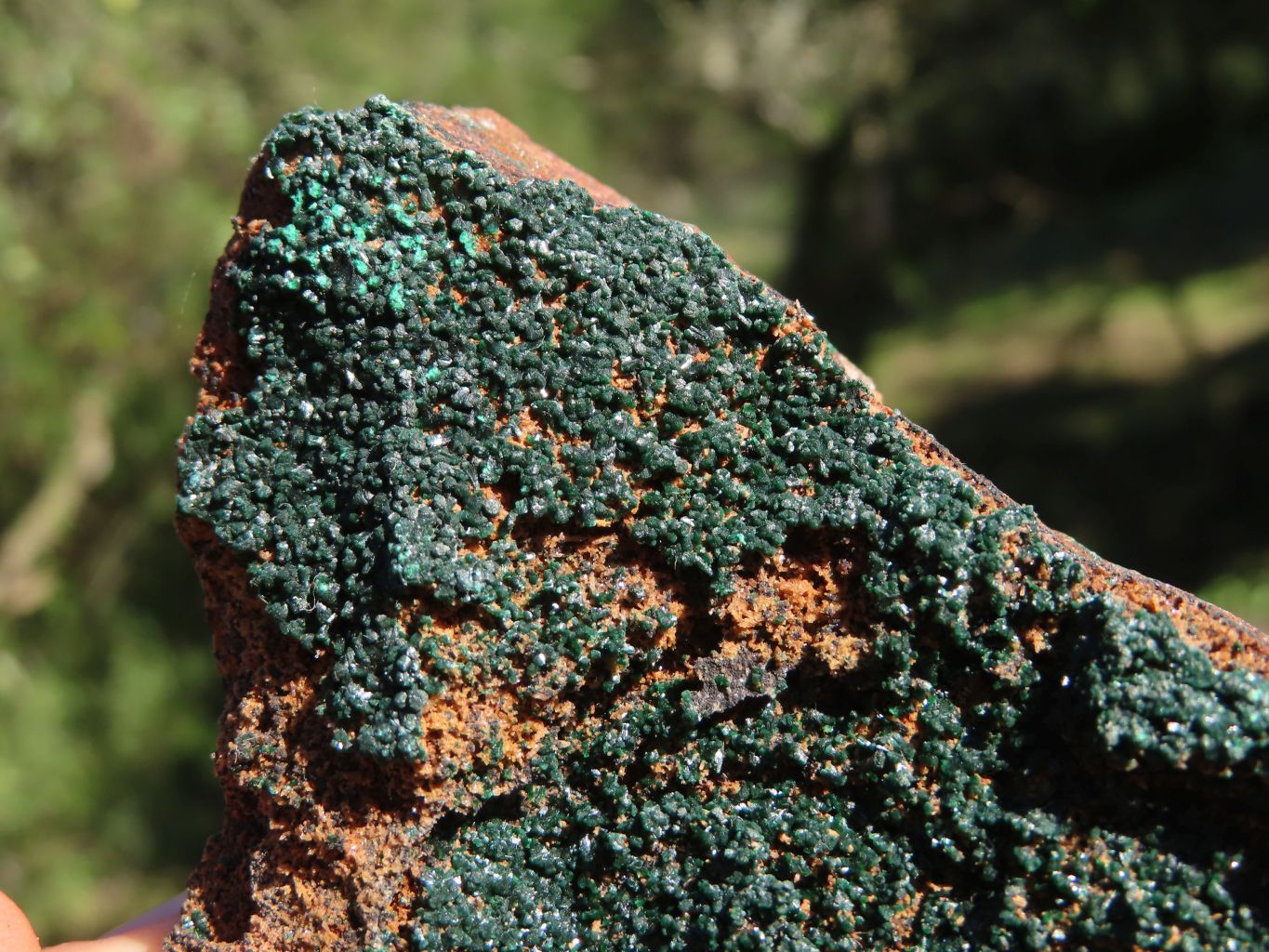 Natural Crystalline Malachite Specimens x 2 From Tenke Fungurume, Congo - TopRock
