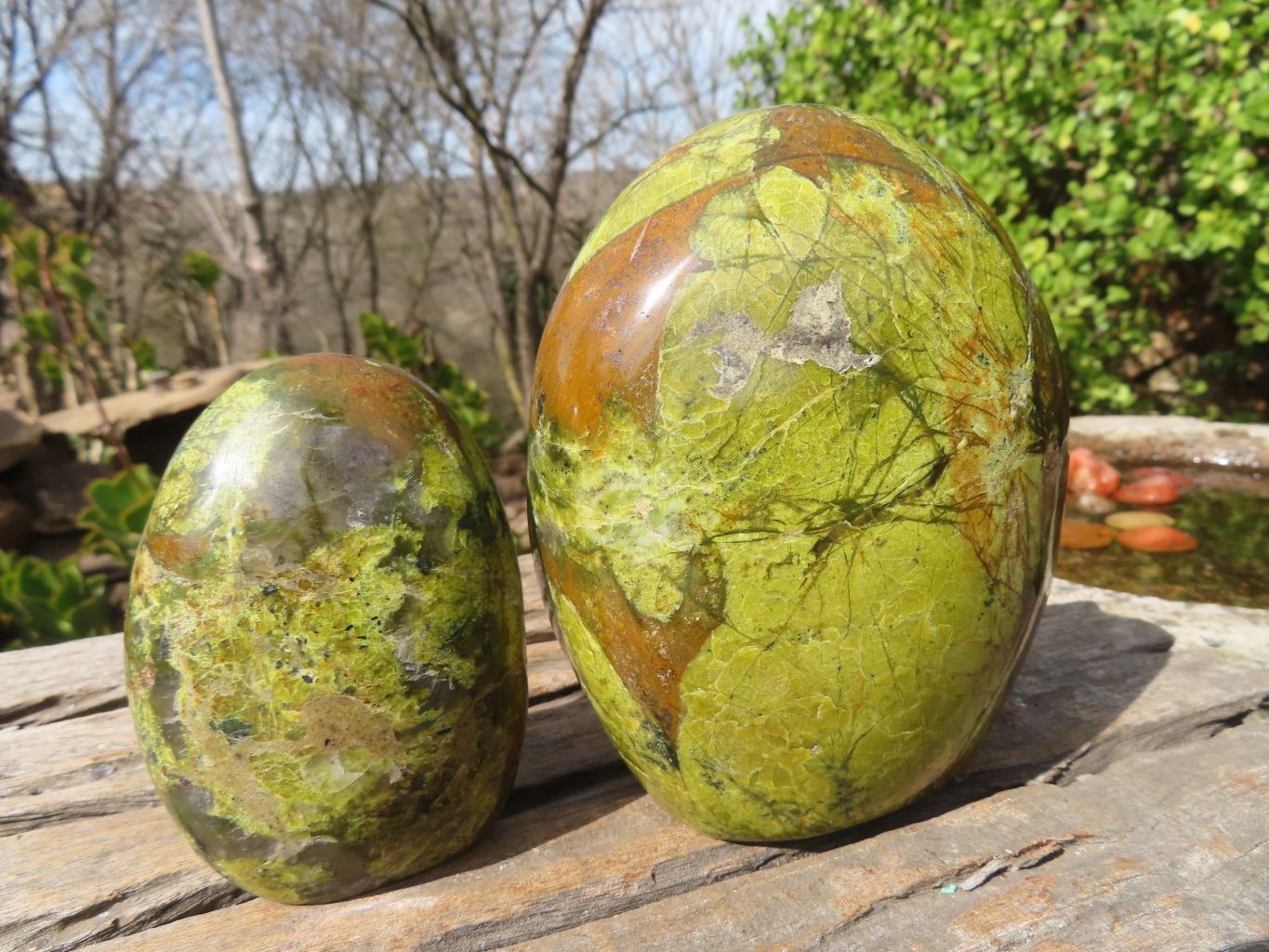 Polished Green Opal Standing Free Forms  x 2 From Antsirabe, Madagascar - Toprock Gemstones and Minerals 