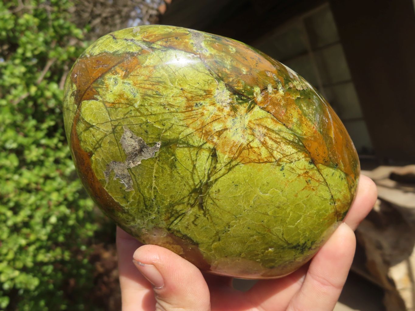 Polished Green Opal Standing Free Forms  x 2 From Antsirabe, Madagascar - Toprock Gemstones and Minerals 