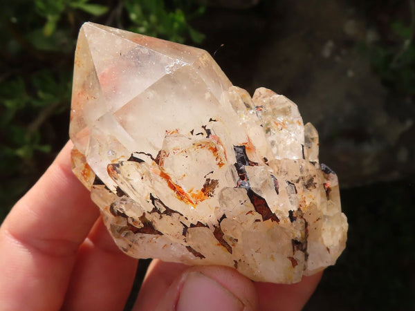 Natural Cascading White Phantom Quartz Clusters  x 12 From Luena, Congo - Toprock Gemstones and Minerals 