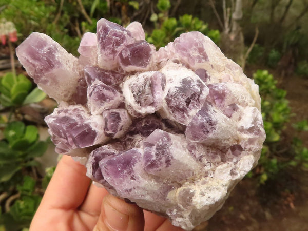 Natural Sugar Amethyst Clusters  x 2 From Solwezi, Zambia