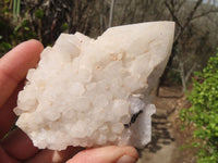 Natural Castle Quartz Clusters x 6 From Ivato, Madagascar - Toprock Gemstones and Minerals 