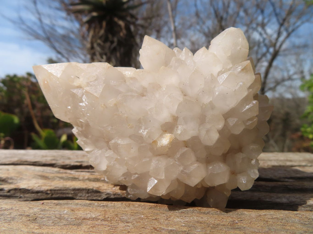 Natural Castle Quartz Clusters x 6 From Ivato, Madagascar - Toprock Gemstones and Minerals 