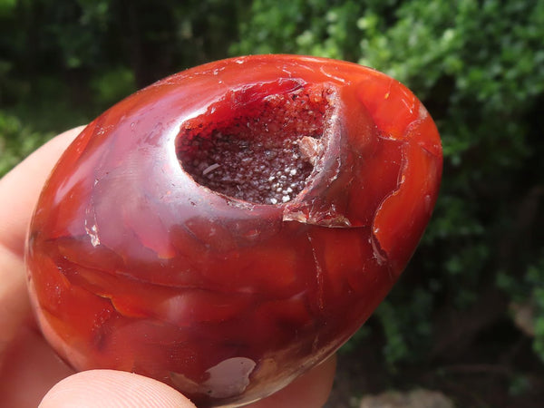 Polished Red Carnelian Agate Gemstone Eggs x 12 From Madagascar - TopRock
