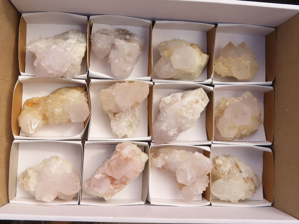 Natural White Cactus Flower Spirit Quartz Specimens x 12 From Boekenhouthoek, South Africa - Toprock Gemstones and Minerals 