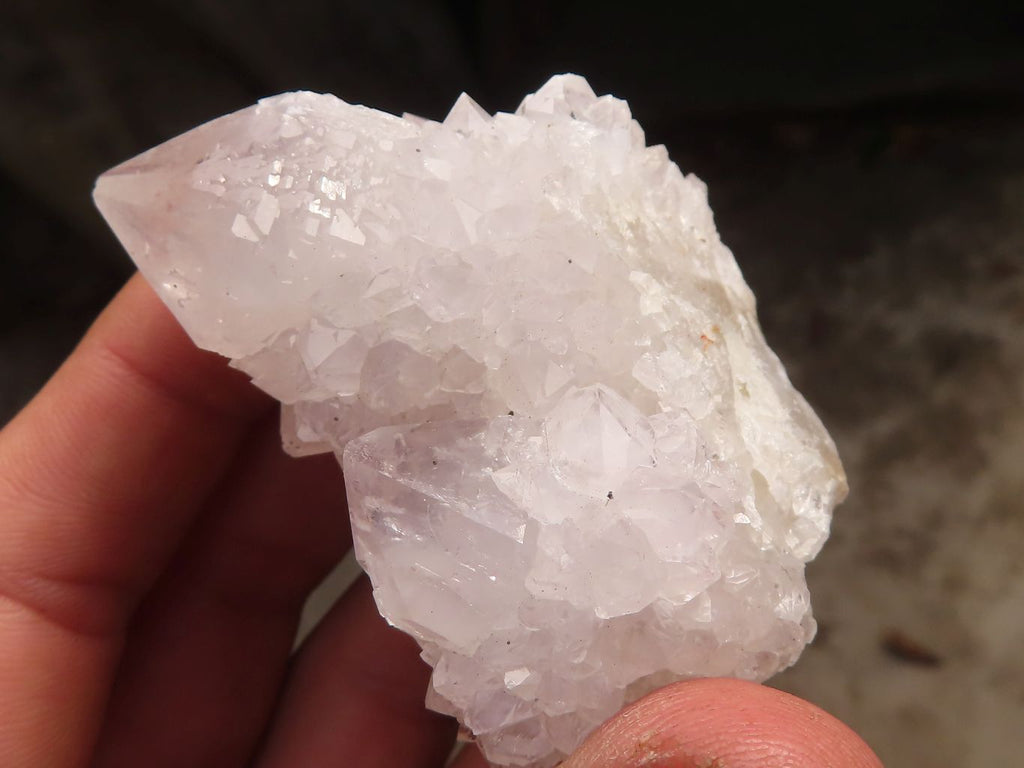 Natural White Cactus Flower Spirit Quartz Specimens x 12 From Boekenhouthoek, South Africa - Toprock Gemstones and Minerals 