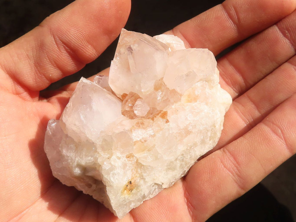 Natural White Cactus Flower Spirit Quartz Specimens x 12 From Boekenhouthoek, South Africa - Toprock Gemstones and Minerals 