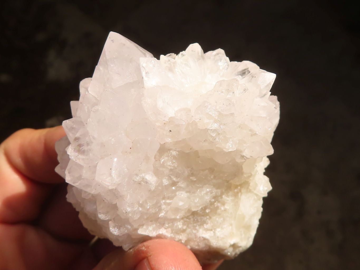 Natural White Cactus Flower Spirit Quartz Specimens x 12 From Boekenhouthoek, South Africa - Toprock Gemstones and Minerals 