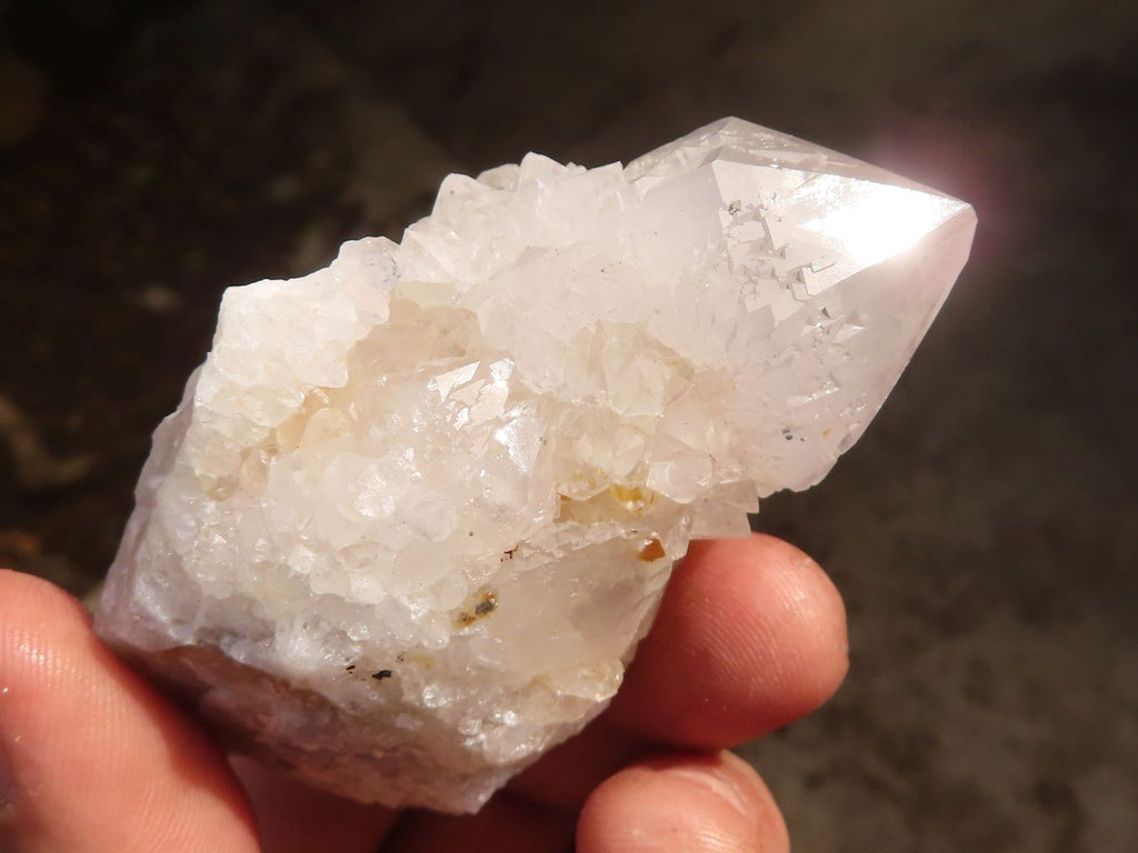 Natural White Cactus Flower Spirit Quartz Specimens x 12 From Boekenhouthoek, South Africa - Toprock Gemstones and Minerals 