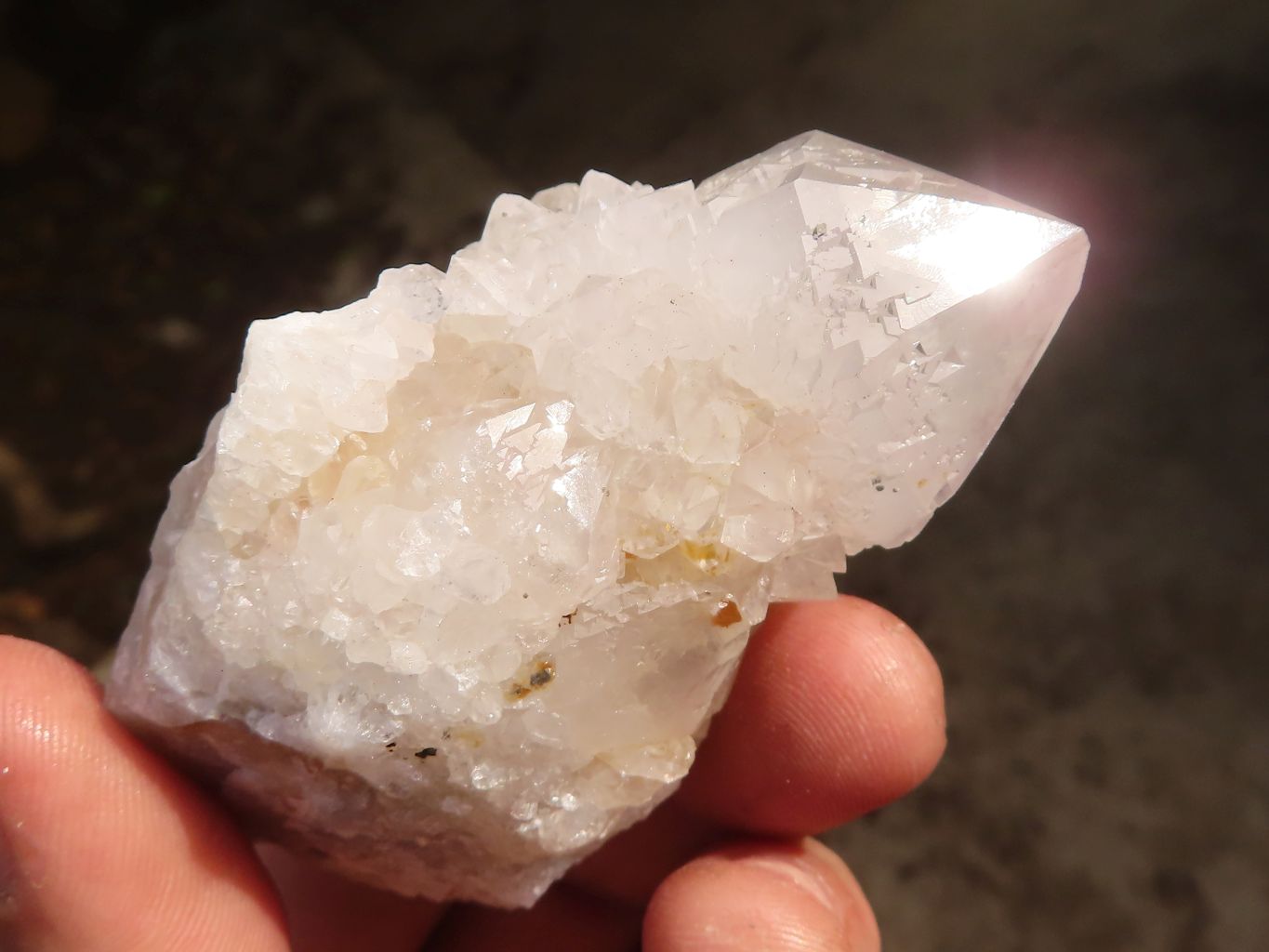 Natural White Cactus Flower Spirit Quartz Specimens x 12 From Boekenhouthoek, South Africa - Toprock Gemstones and Minerals 