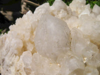 Natural Large Window & Phantoms Castle Quartz Cluster x 1 From Madagascar - TopRock