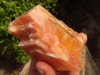 Natural New Sunset Orange Calcite Specimens  x 6 From Spitzkop, Namibia - Toprock Gemstones and Minerals 