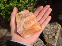 Natural New Sunset Orange Calcite Specimens  x 6 From Spitzkop, Namibia - Toprock Gemstones and Minerals 
