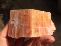 Natural New Sunset Orange Calcite Specimens  x 6 From Spitzkop, Namibia - Toprock Gemstones and Minerals 