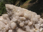 Natural Extra Large Pineapple Quartz Cluster  x 1 From Mandrosonoro, Madagascar - TopRock
