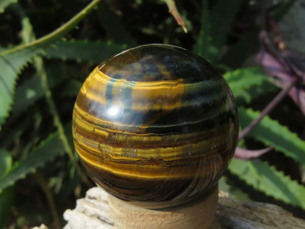 Polished Golden & Blue Tigers Eye Spheres x 4 From Prieska, South Africa - TopRock