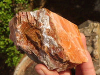 Natural New Sunset Orange Calcite Specimens  x 6 From Spitzkop, Namibia - Toprock Gemstones and Minerals 