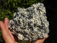 Natural Large Schorl Black Tourmaline Specimen x 2 From Erongo, Namibia - Toprock Gemstones and Minerals 