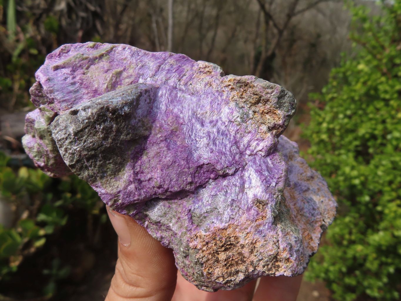 Natural Rough Stichtite & Serpentine Specimens x 5 From Barberton, South Africa - Toprock Gemstones and Minerals 