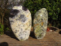 Polished Dendritic Opal Standing Free Forms x 2 From Moralambo, Madagascar - Toprock Gemstones and Minerals 