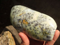 Polished Dendritic Opal Standing Free Forms x 2 From Moralambo, Madagascar - Toprock Gemstones and Minerals 