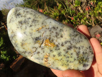 Polished Dendritic Opal Standing Free Forms x 2 From Moralambo, Madagascar - Toprock Gemstones and Minerals 