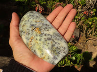 Polished Dendritic Opal Standing Free Forms x 2 From Moralambo, Madagascar - Toprock Gemstones and Minerals 