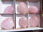 Polished Rose Quartz Standing Free Forms x 6 From Antsirabe, Madagascar - Toprock Gemstones and Minerals 