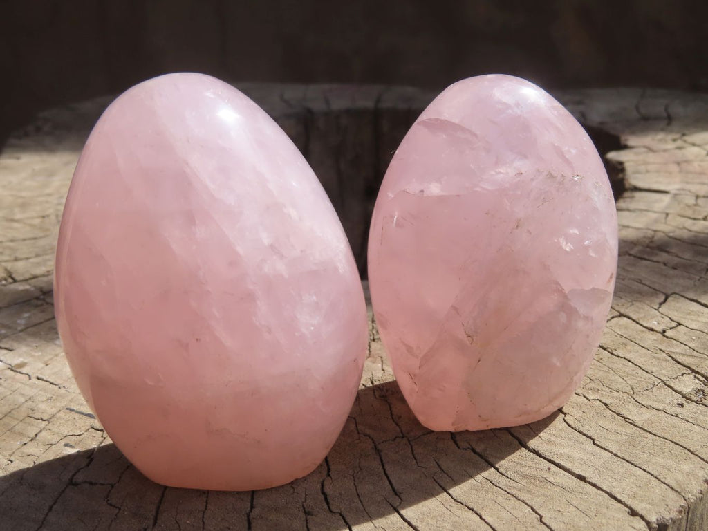 Polished Rose Quartz Standing Free Forms x 6 From Antsirabe, Madagascar - Toprock Gemstones and Minerals 
