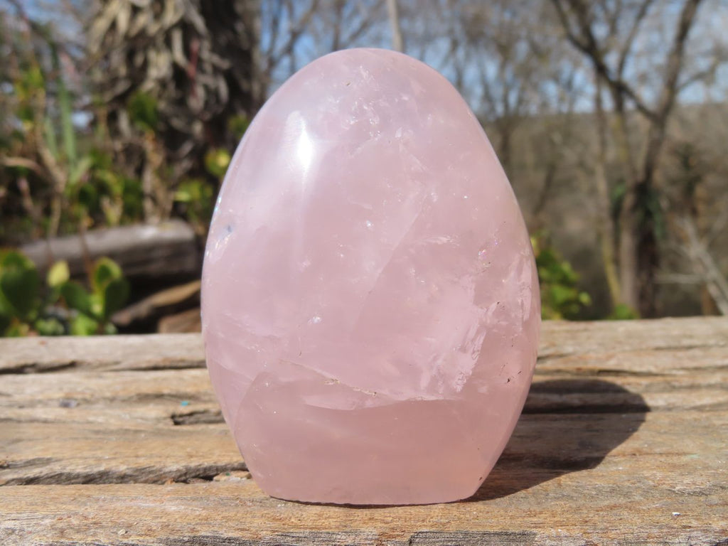 Polished Rose Quartz Standing Free Forms x 6 From Antsirabe, Madagascar - Toprock Gemstones and Minerals 
