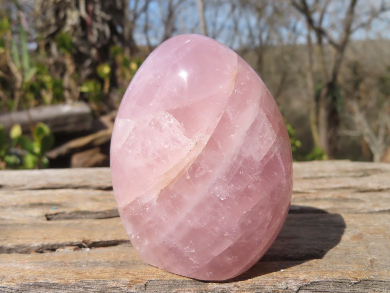 Polished Rose Quartz Standing Free Forms x 6 From Antsirabe, Madagascar - Toprock Gemstones and Minerals 