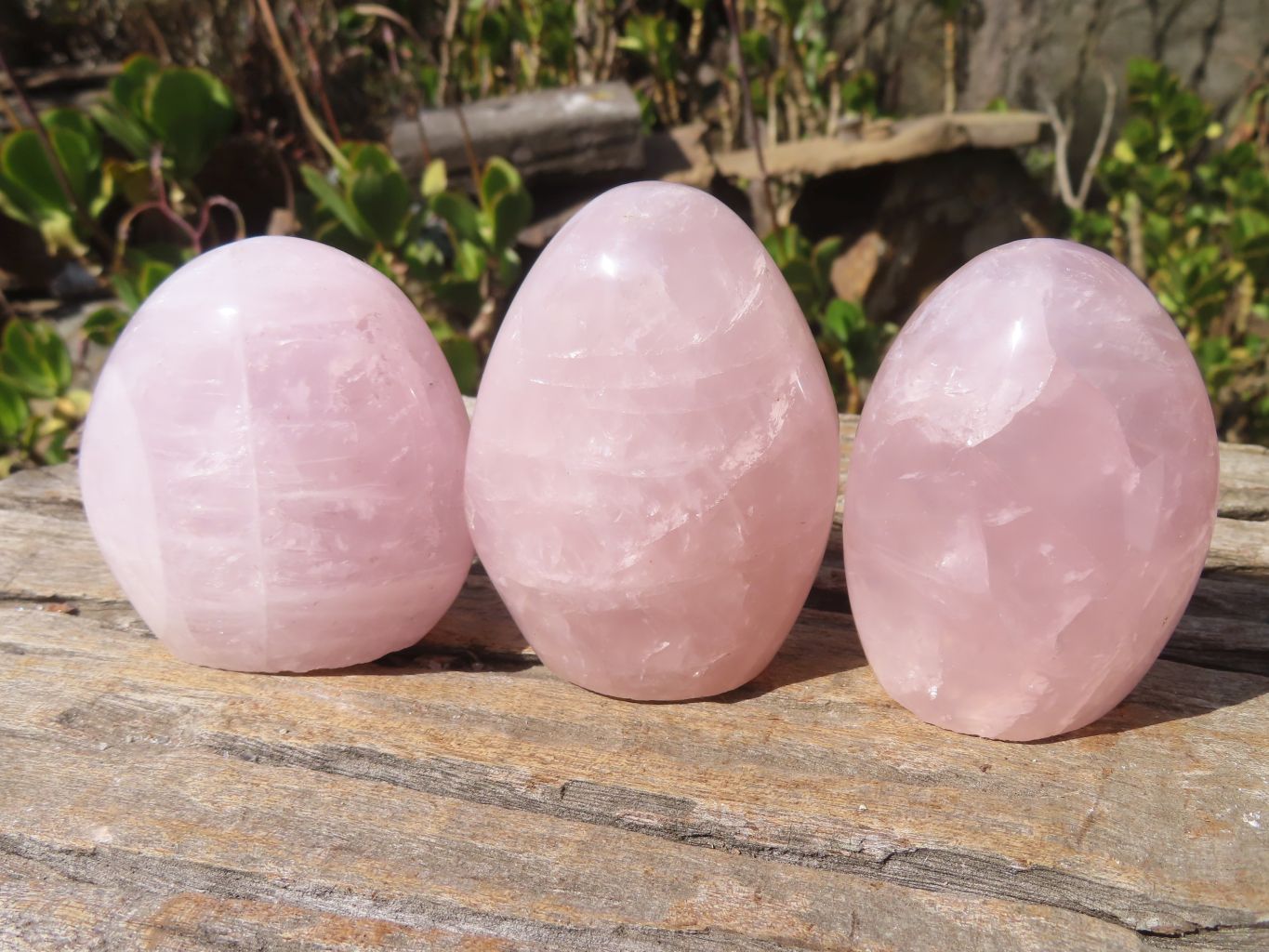 Polished Rose Quartz Standing Free Forms x 6 From Antsirabe, Madagascar - Toprock Gemstones and Minerals 