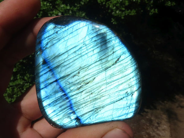 Polished Flashy Labradorite Standing Free Forms  x 12 From Tulear, Madagascar