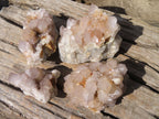 Natural Spirit Cactus Quartz Clusters x 4 From Boekenhouthoek, South Africa - Toprock Gemstones and Minerals 