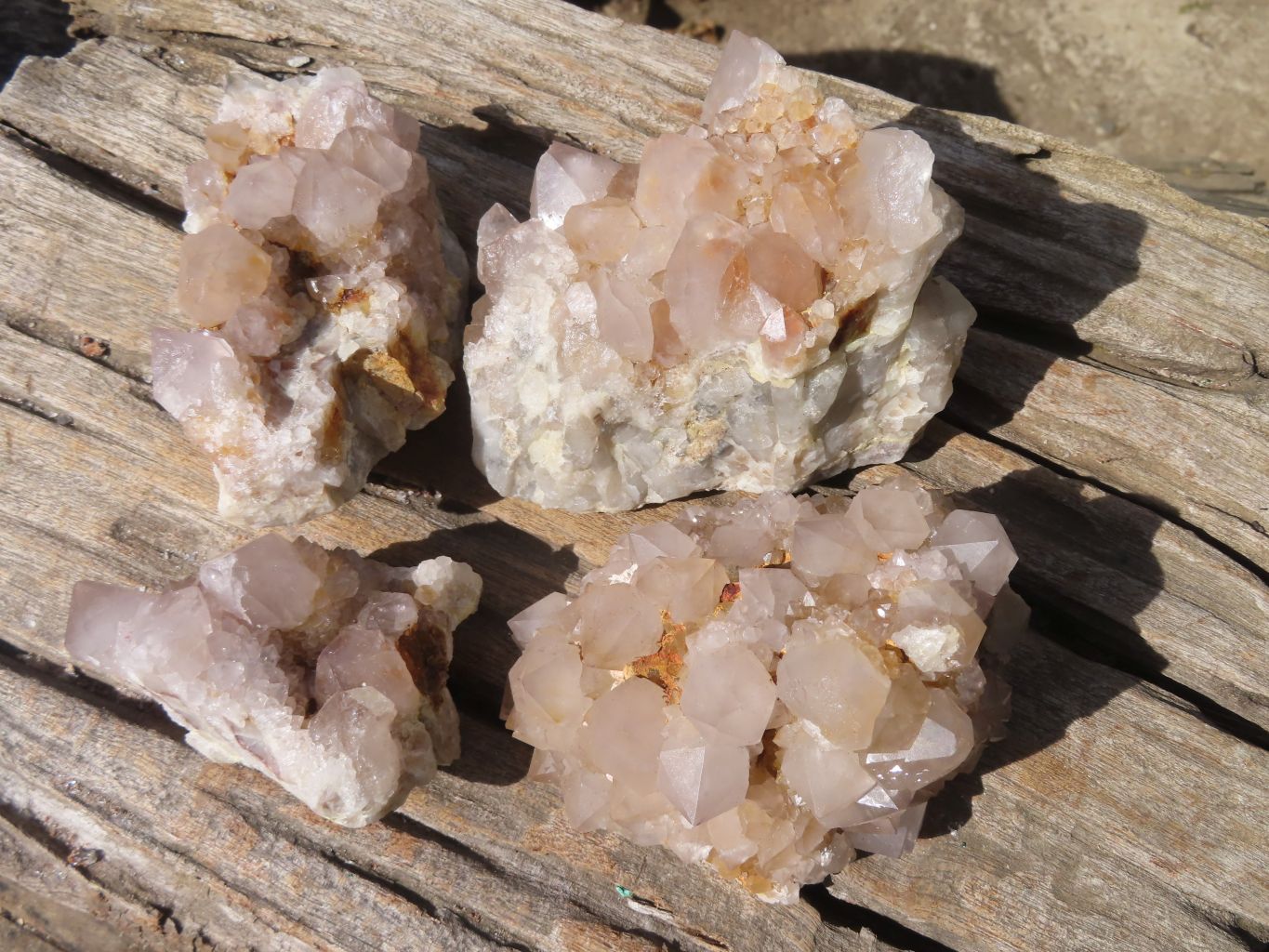 Natural Spirit Cactus Quartz Clusters x 4 From Boekenhouthoek, South Africa - Toprock Gemstones and Minerals 