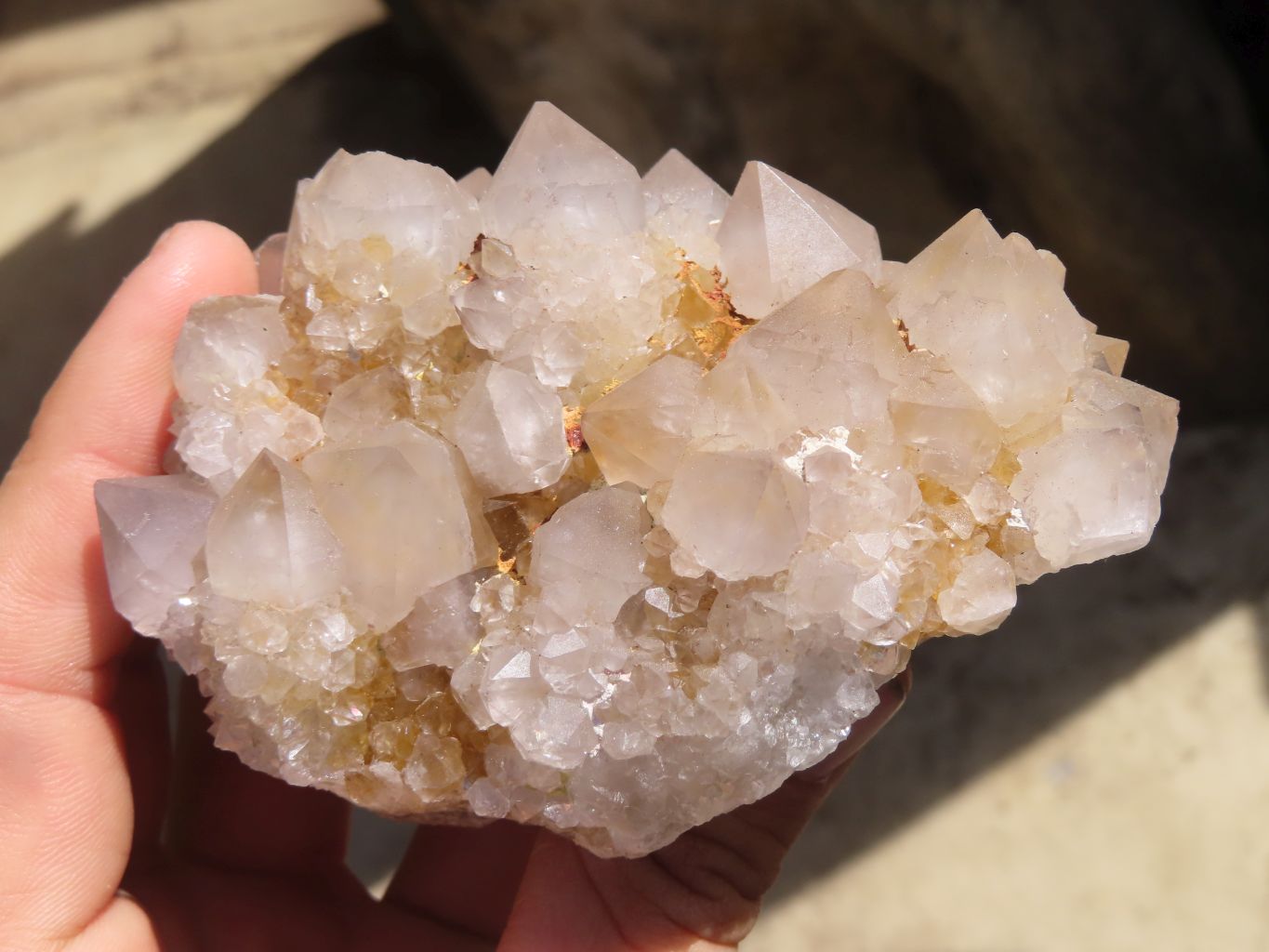 Natural Spirit Cactus Quartz Clusters x 4 From Boekenhouthoek, South Africa - Toprock Gemstones and Minerals 