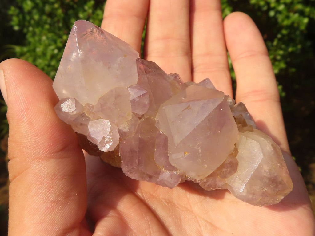 Natural Mixed Spirit Quartz Specimens  x 12 From Boekenhouthoek, South Africa - Toprock Gemstones and Minerals 