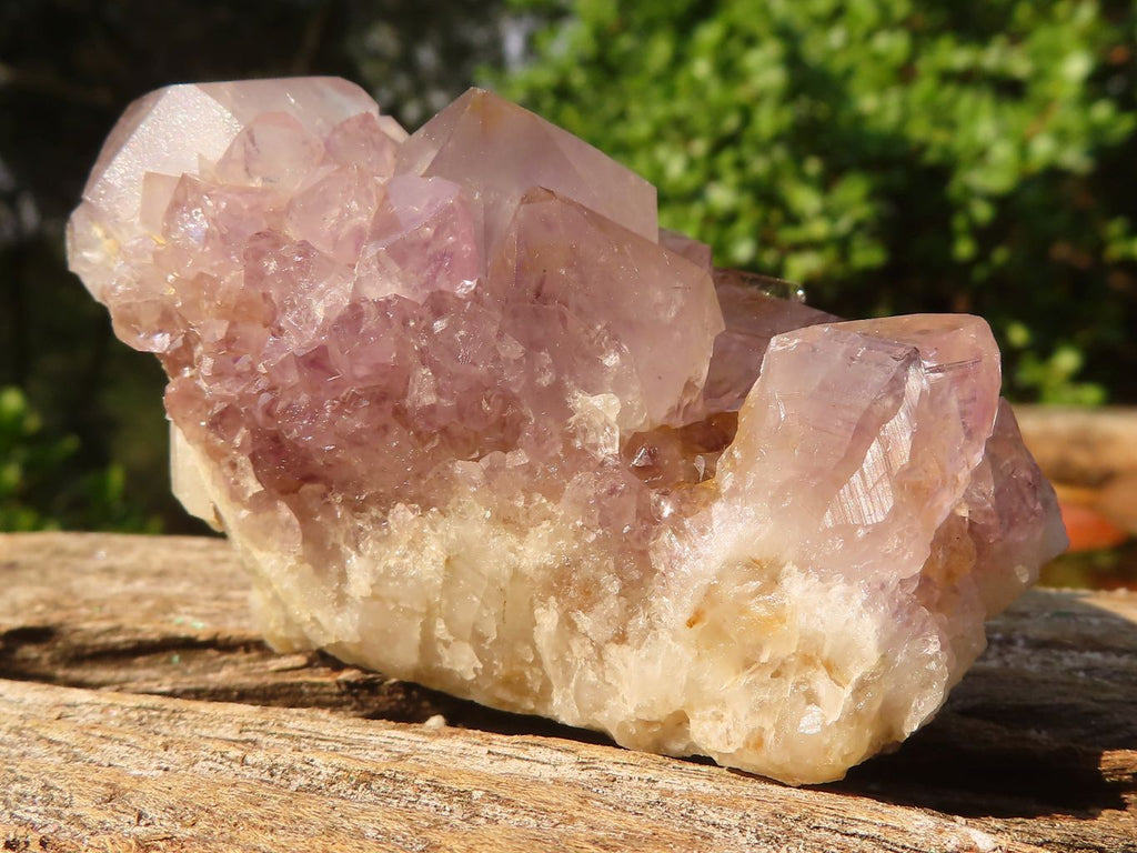 Natural Mixed Spirit Quartz Specimens  x 12 From Boekenhouthoek, South Africa - Toprock Gemstones and Minerals 