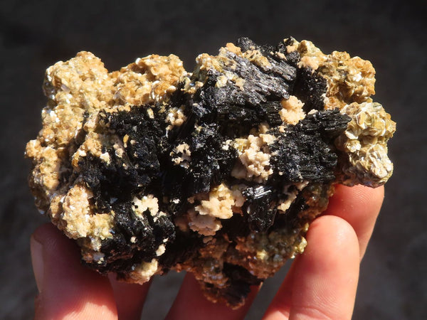 Natural Schorl Black Tourmaline With Vermiculite Specimens x 12 From Erongo, Namibia