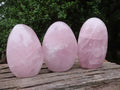 Polished Gemmy Pink Rose Quartz Standing Free Forms  x 3 From Ambatondrazaka, Madagascar - TopRock