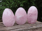 Polished Gemmy Pink Rose Quartz Standing Free Forms  x 3 From Ambatondrazaka, Madagascar - TopRock